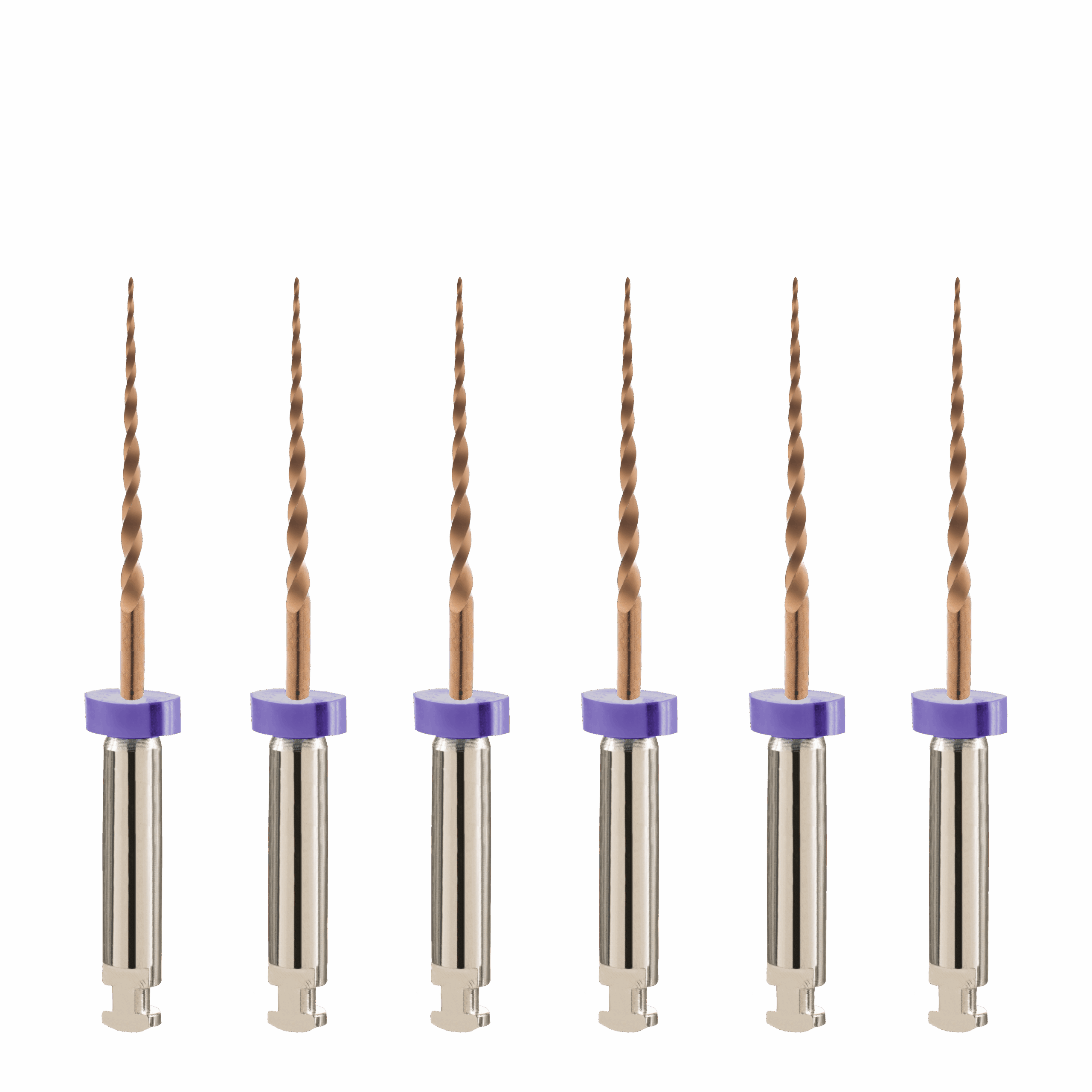 EZx-6-N-scaled.png